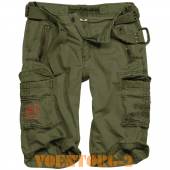 ����� ROYAL | ���� Olive